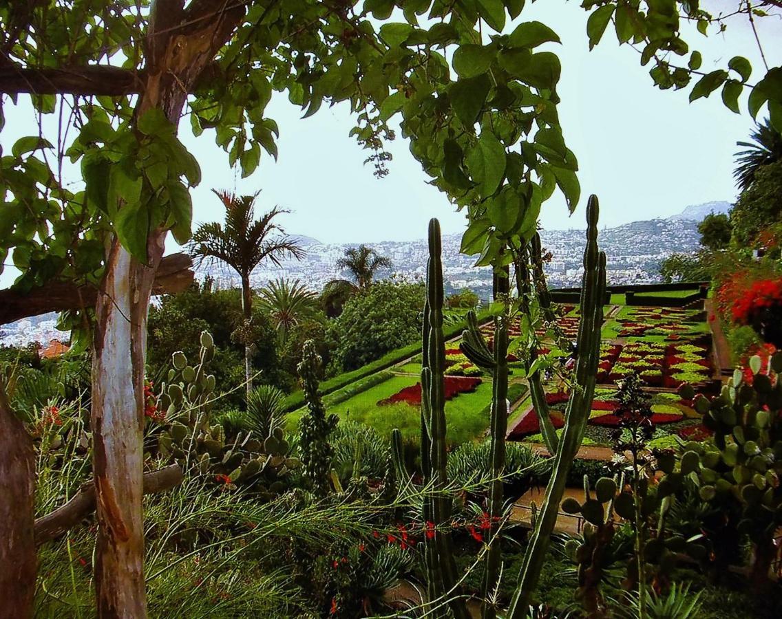 Apartment - The Historical Center Of Funchal In Alojamento Local 外观 照片